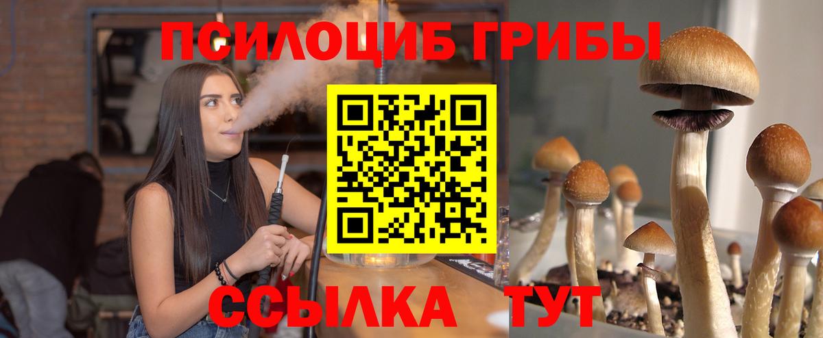 Галлюциногенные грибы мицелий  Вход с VPN  где можно купить наркотик  Мценск  Галлюциногенные грибы GOLDEN TEACHER 